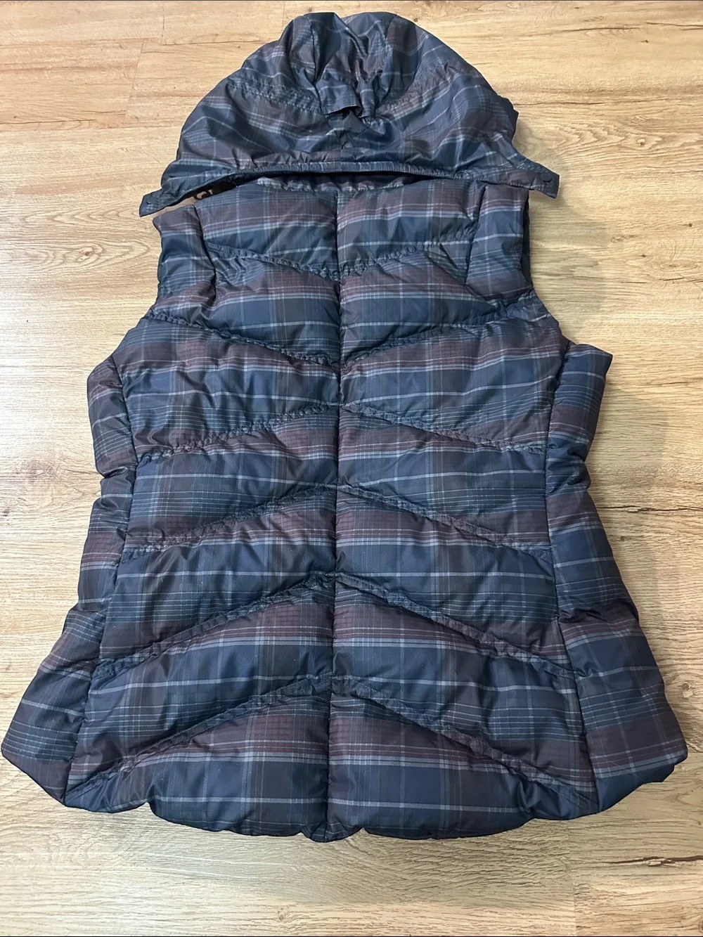 Patagonia goose down vest